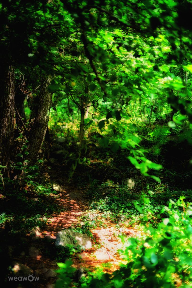 Fotos do tempo em Blagoevgrad. Previsões do tempo com lindas fotos de VencislavDimitrov