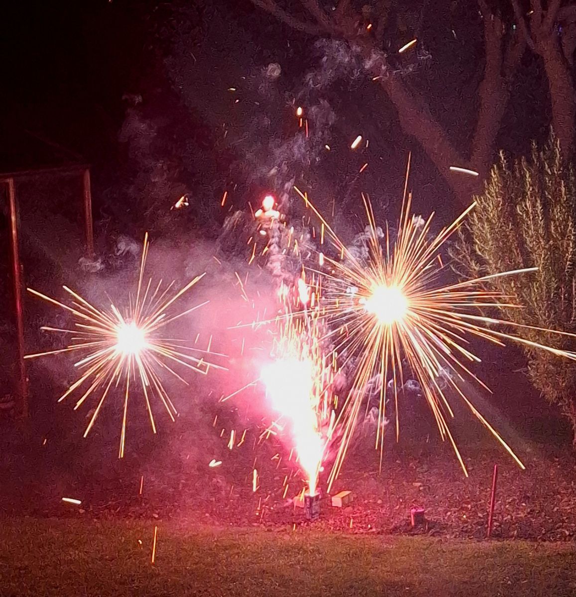 Photographe Lolli, Photos météo à Maidstone - Weawow