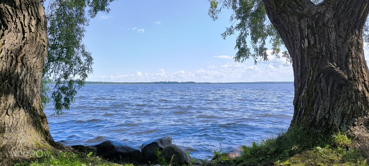 Wetter Photos Tver Oblast. Wettervorhersagen mit schönen Fotos von Kukamori