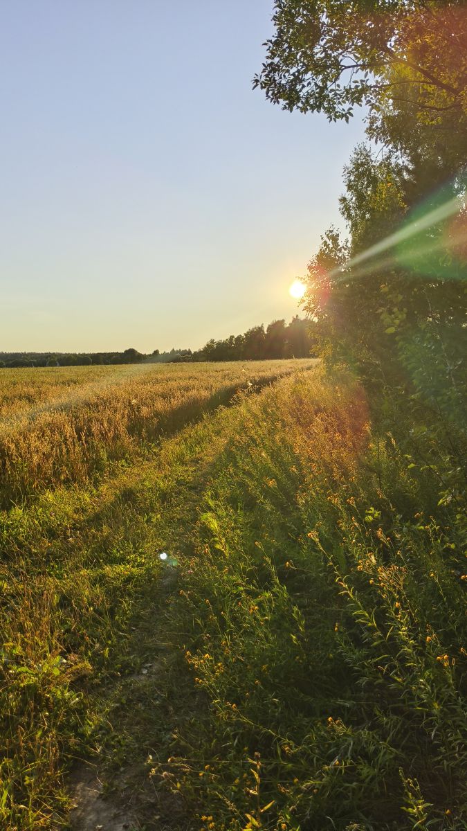 Fotos do tempo em Kaluga Oblast. Previsões do tempo com lindas fotos de Aleksei