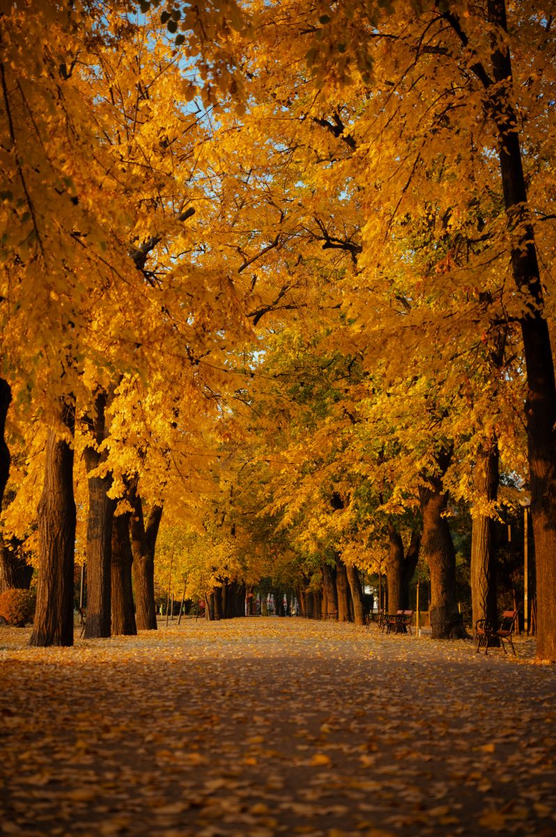 Weather Photos in Vidin. Weather forecasts with beautiful photos by Евгени Евгениев