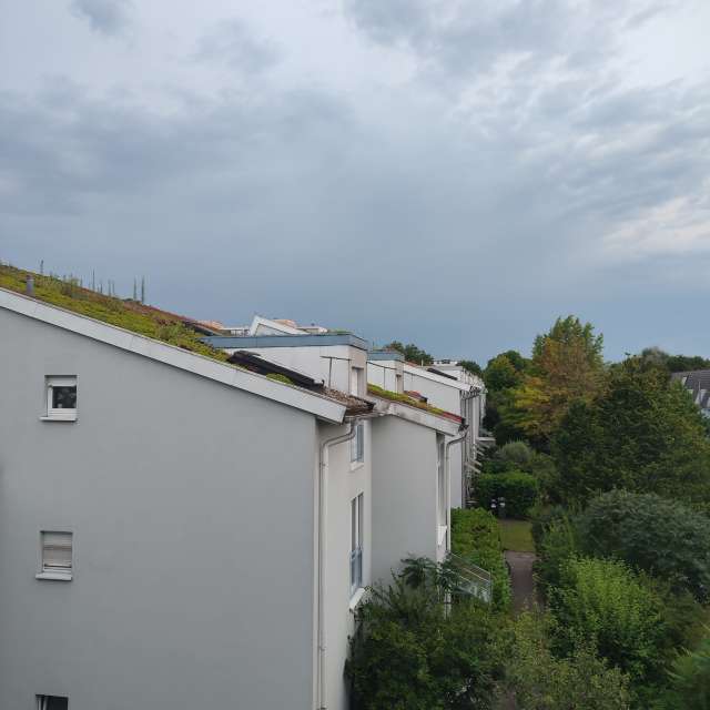Boat. Weather forecasts with beautiful photos by Tercis Photos in Ettlingen
