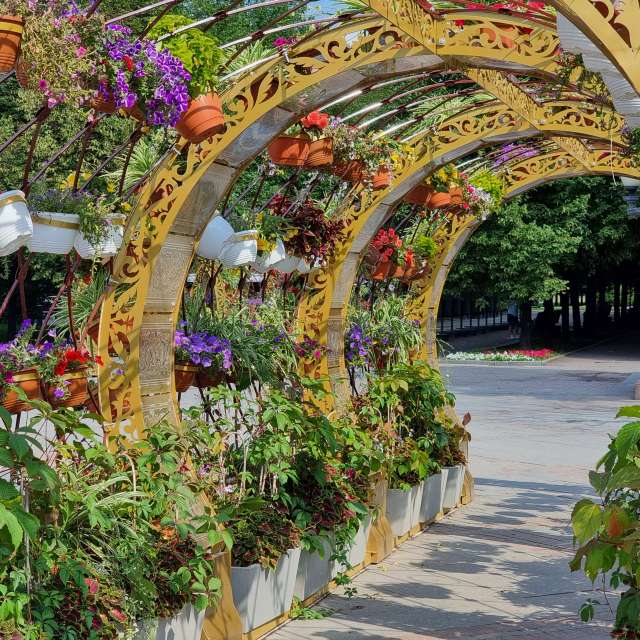 Weather forecasts with beautiful photos by Beorn