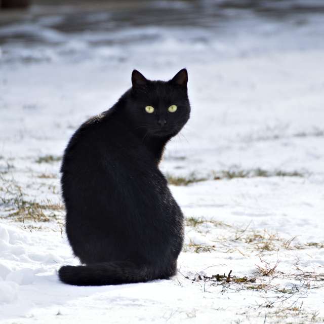 Tom44の美しい写真による天気予報