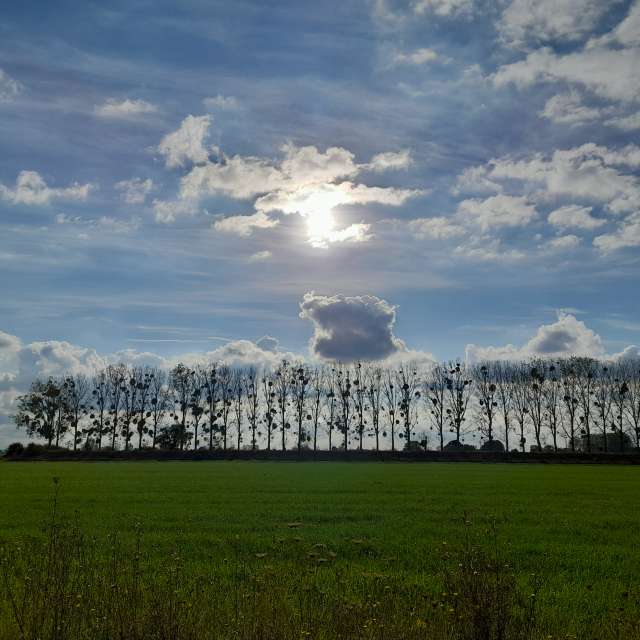 天气预报，带Liv精美的照片