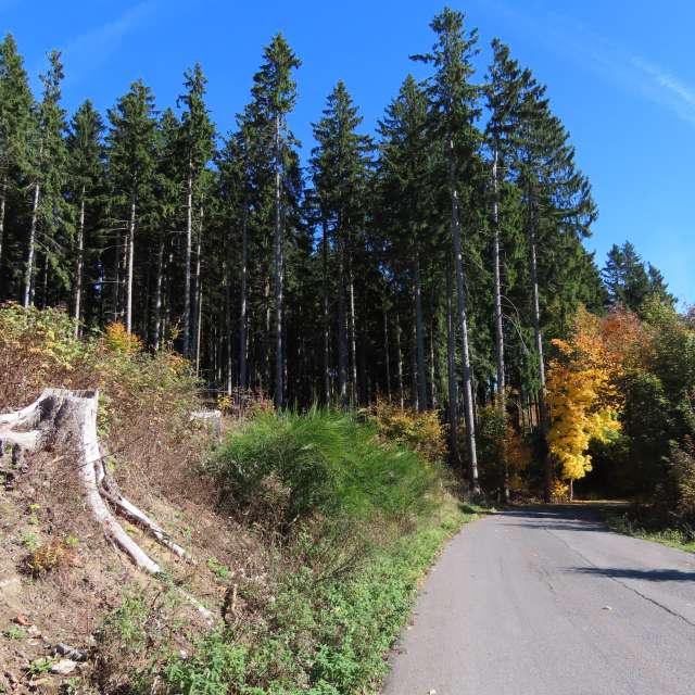 天气预报，带Sviatoslav精美的照片