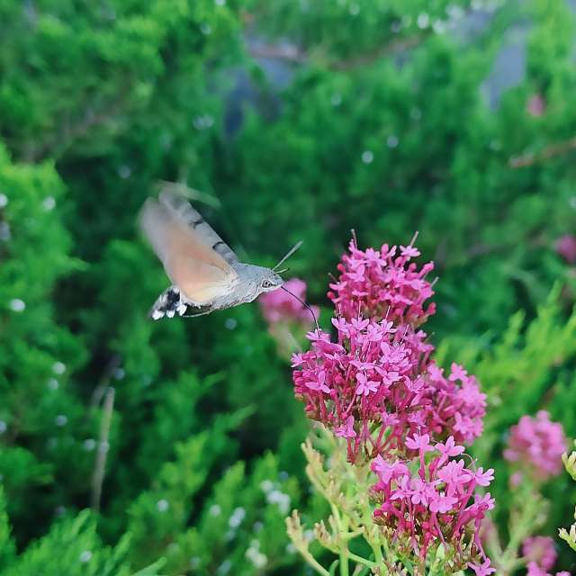 Weather forecasts with beautiful photos by Ustas