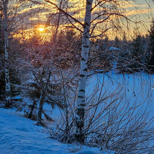 Photos Grand. Prévisions météo avec de superbes photos de Stroganov_4 de Moscow Oblast