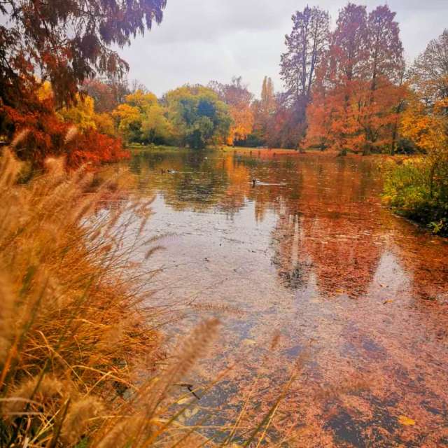世界の天気写真. Seniの美しい写真による天気予報