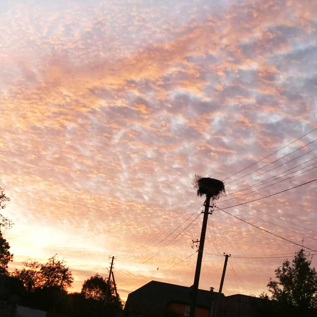 Sign. Weather forecasts with beautiful photos by Ніна Photos in Ukraine