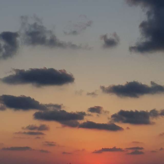 Prévisions météo avec de superbes photos de Florabresler