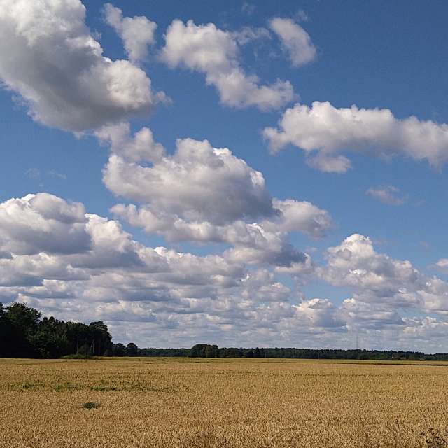 Wettervorhersagen mit schönen Fotos von Dmitry8