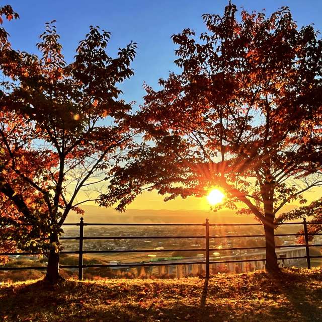 Sheep. Weather forecasts with beautiful photos by Kasumisou Photos in World