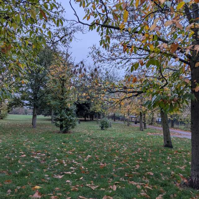 Man. Weather forecasts with beautiful photos by faruqhsj Photos in World