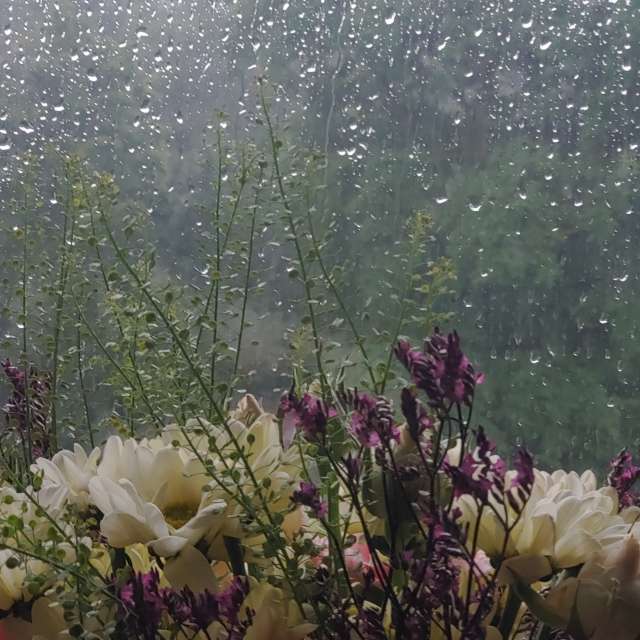 Jazzinevirgaの美しい写真による天気予報