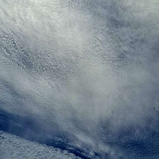 Katze. Wettervorhersagen mit schönen Fotos von Wen-ya Huang Fotos Kaohsiung