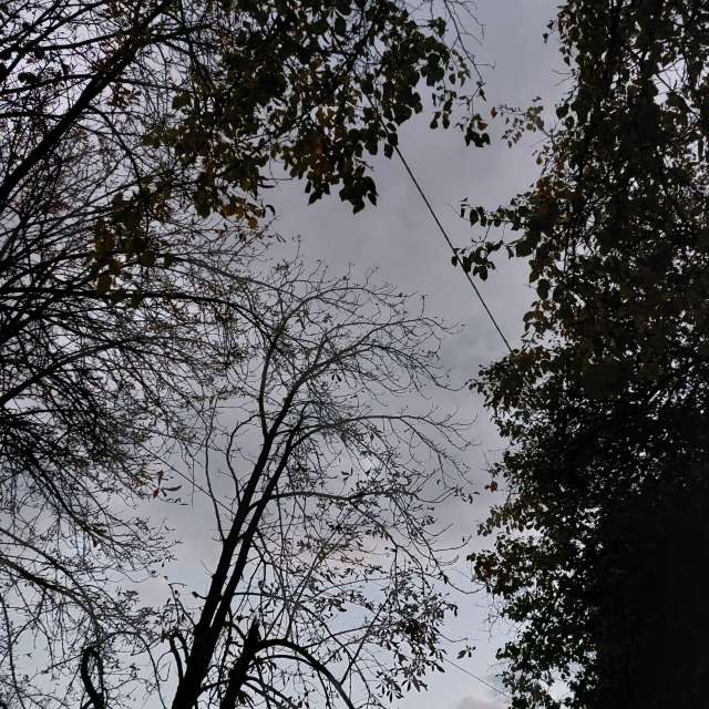 Heights. Weather forecasts with beautiful photos by Iryna Photos in Kharkiv