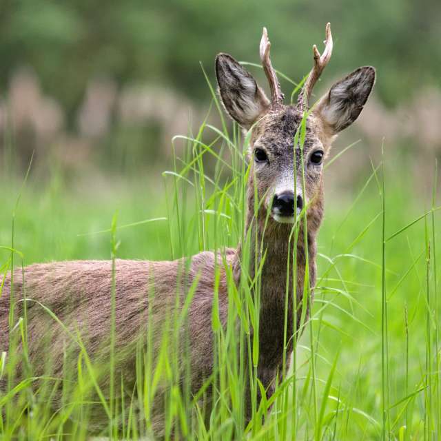 Tom44の美しい写真による天気予報