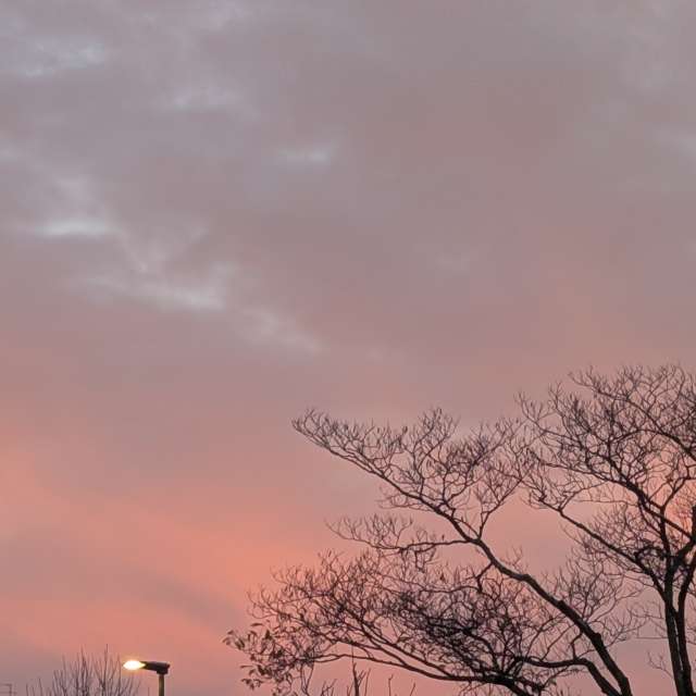 Previsões do tempo com lindas fotos de Roytinez31