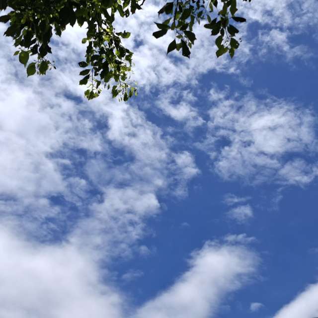 Jet. Weather forecasts with beautiful photos by Wen-ya Huang Photos in Kaohsiung City