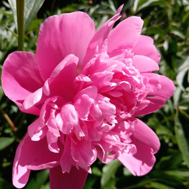 Weather Photos in World. Weather forecasts with beautiful photos by mikhai