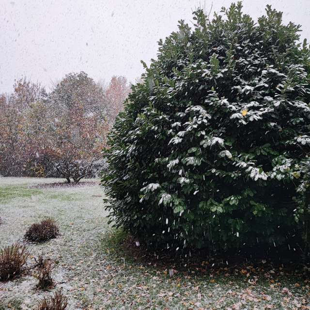 Previsões do tempo com lindas fotos de DJFuchs