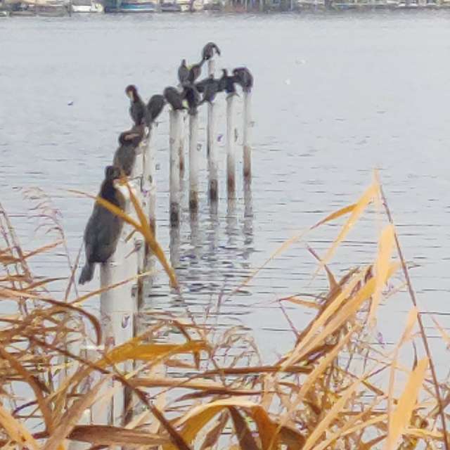 Прогнозы погоды с чудесными фотографиями, сделанными Karsten Wo