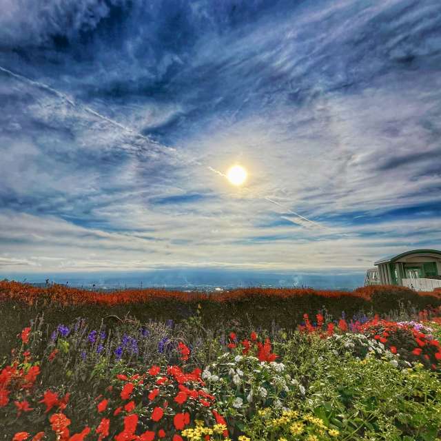 Group. Weather forecasts with beautiful photos by Kasumisou Photos in Saku-shi