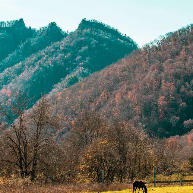 天气预报，带Mr_Doberman精美的照片