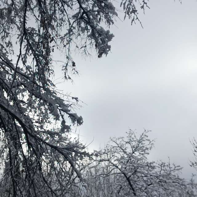 Fotos del Pasto. Pronósticos del tiempo con hermosas fotos de YanBog en București