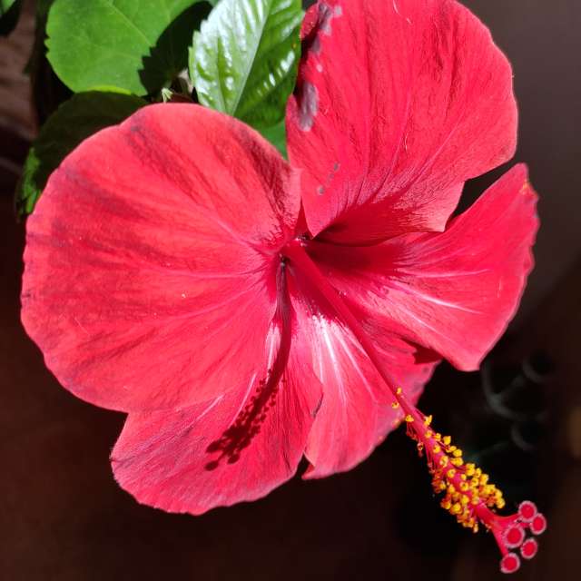 Wettervorhersagen mit schönen Fotos von Belkka303