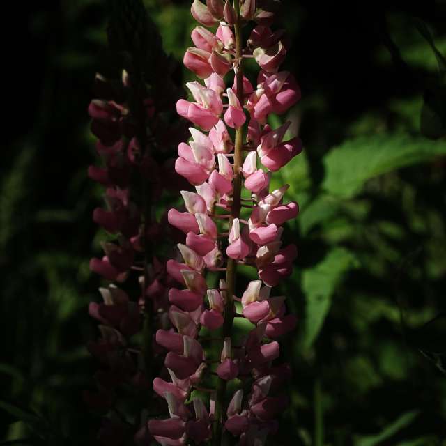 Front. Weather forecasts with beautiful photos by Михаил Гавриков Photos in Kharkiv