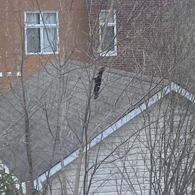 Ziegel. Wettervorhersagen mit schönen Fotos von Lulu5523 Fotos Outaouais