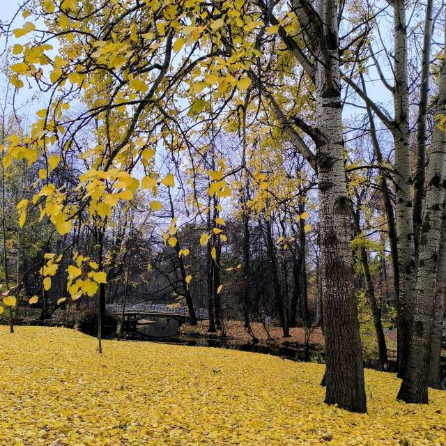 Jeaの美しい写真による天気予報