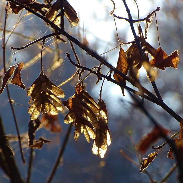 Water. Weather forecasts with beautiful photos by Михаил Гавриков Photos in Kharkiv