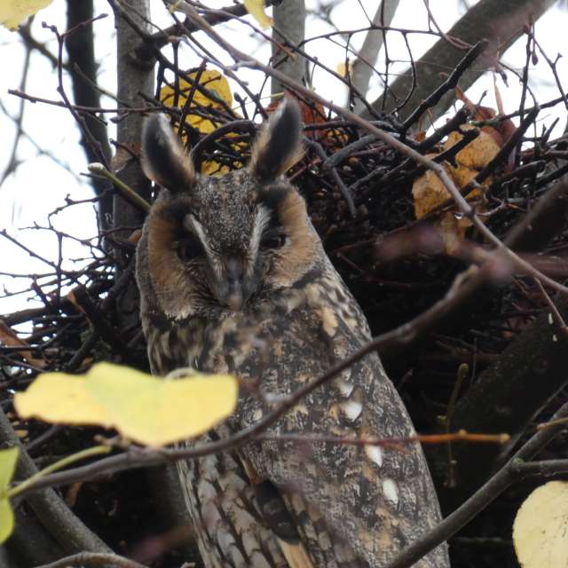 Прогнозы погоды с чудесными фотографиями, сделанными fwerner