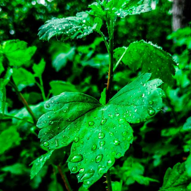 世界的天气照片. 天气预报，带aastrelkova精美的照片