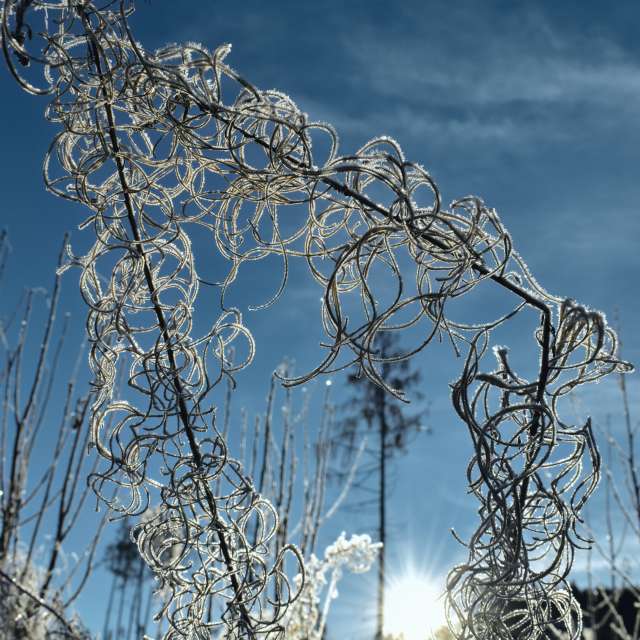Old. Weather forecasts with beautiful photos by hejpetrpepa Photos in Plzeň Region