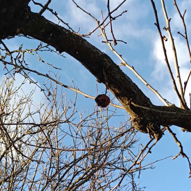 Прогнозы погоды с чудесными фотографиями, сделанными YanMir