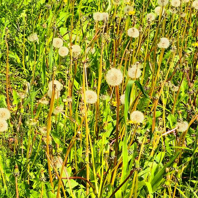 Tall. Weather forecasts with beautiful photos by Seni Photos in Velbert