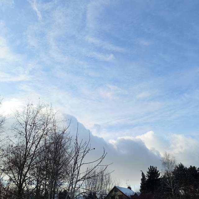 Previsões do tempo com lindas fotos de Madlen