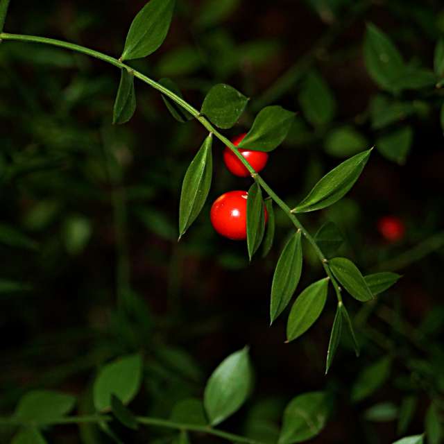 Dirt. Weather forecasts with beautiful photos by tony5636 Photos in Calvisson