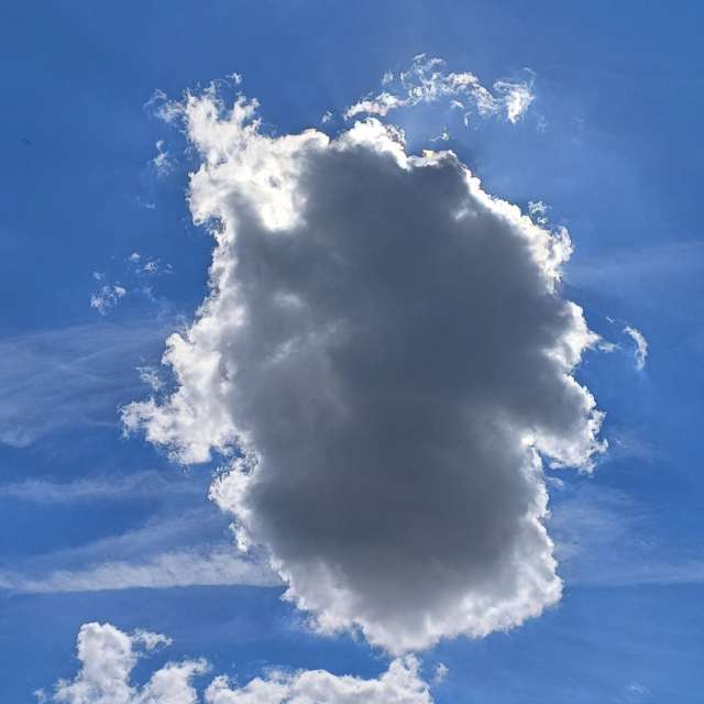 Photos Homme. Prévisions météo avec de superbes photos de Lolli de Maidstone