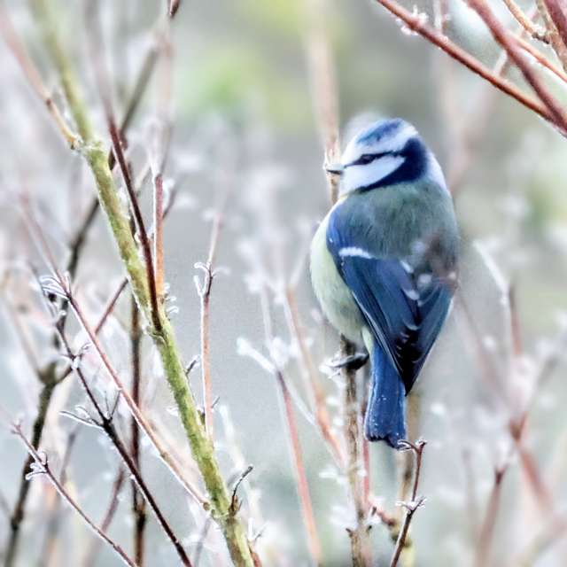 Prévisions météo avec de superbes photos de Lotti5507