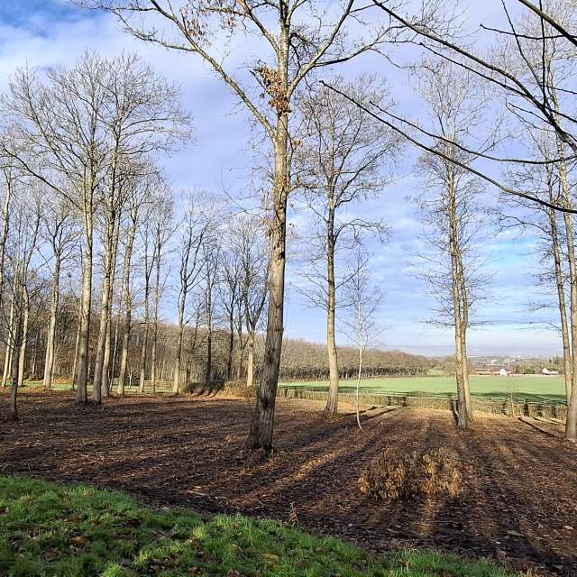 Previsões do tempo com lindas fotos de Lolli