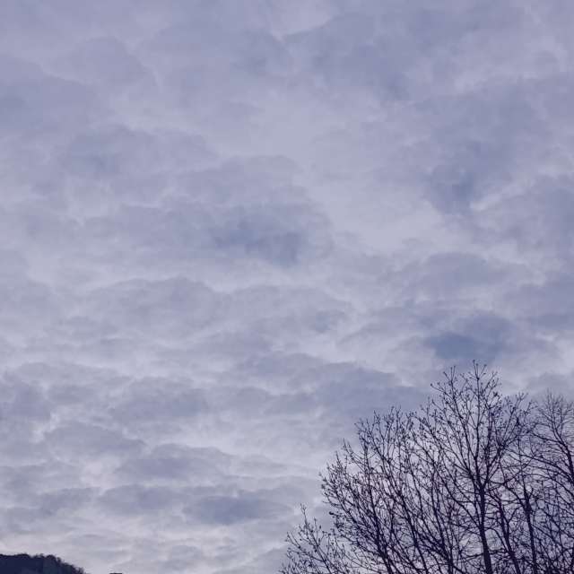 Weather forecasts with beautiful photos by Lena_Glukhova