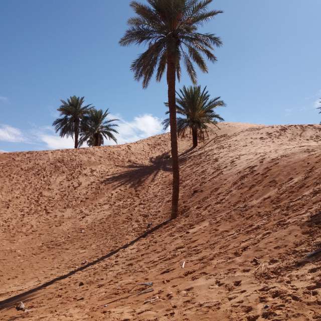 Photos Sablonneux. Prévisions météo avec de superbes photos de BELGHOUL-KADDA de Béchar