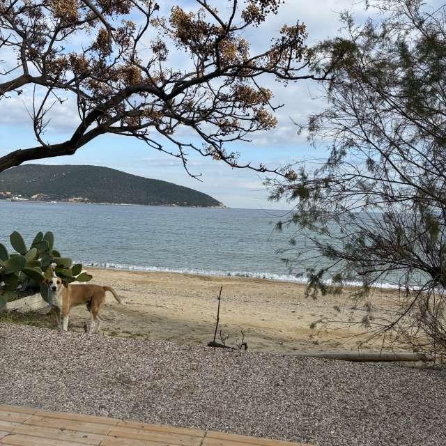 Прогнозы погоды с чудесными фотографиями, сделанными cigov