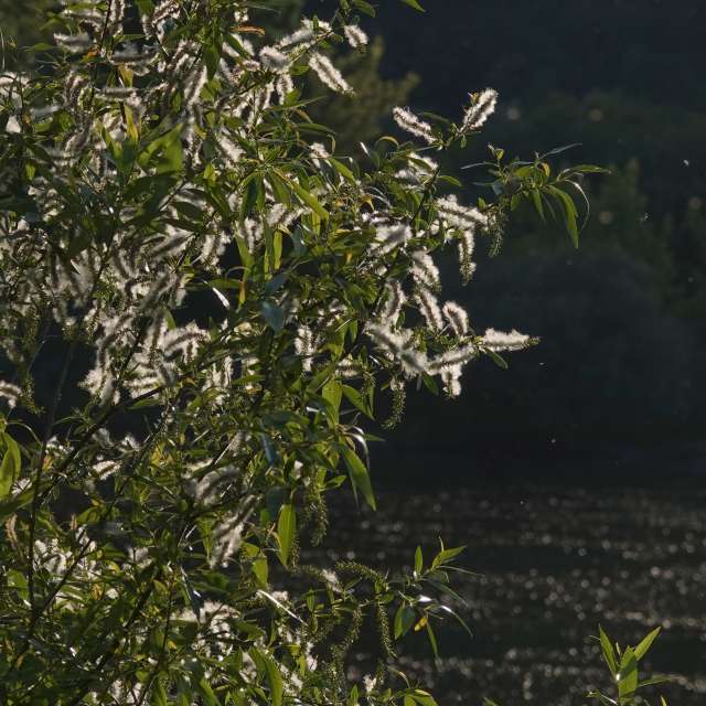 Fotos Abordado. Previsões do tempo com lindas fotos de Vasek325 em Praha 12
