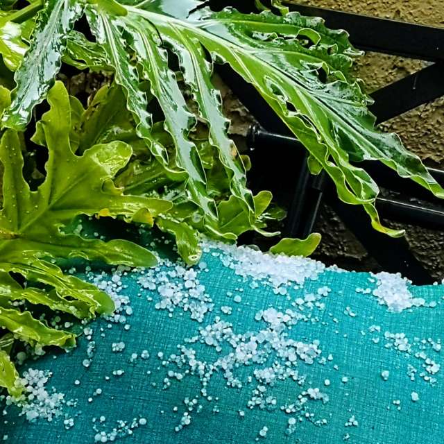 Прогнозы погоды с чудесными фотографиями, сделанными Ghostroku